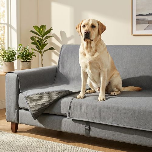 couch covers for dogs
