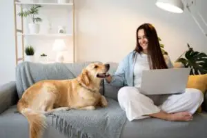 couch covers for dogs